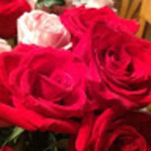 Meet your Posher, Paula